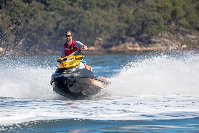 1.5 Hr Jet Ski Safari - Price and Value: Is $234.16 Worth It?