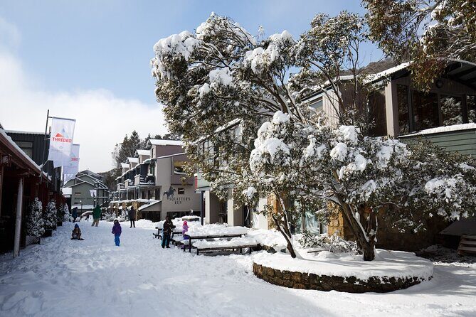 1 Day Thredbo Snow Tour From Sydney - Toboggan, ski lessons, and what is not included