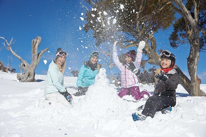 1 Day Thredbo Snow Tour From Sydney - Guide Anna and group size: smoothing the rough edges