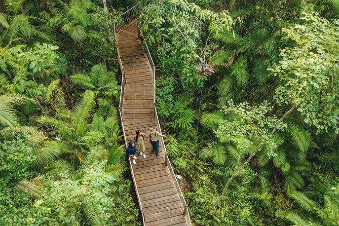 14 Day Tour from Sydney to Cairns Fraser Island and Whitsundays - Port Macquarie koalas and the quieter side of the coast