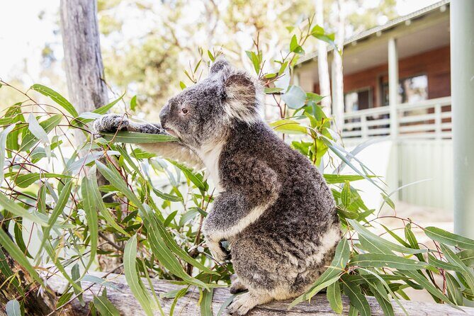 14 Day Tour from Sydney to Cairns Fraser Island and Whitsundays - Day 1 in Sydney: get oriented without rushing
