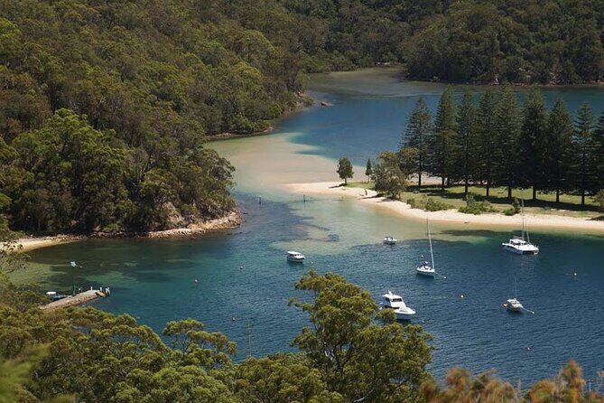 2 1/2 Hr Private Skippered Yacht Charter and Platter on Pittwater - The Basin campground: beach time plus chances for wildlife