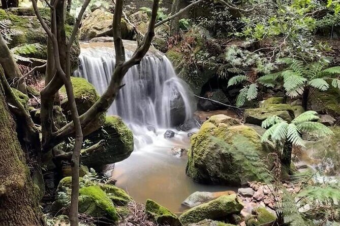 Adventurous Blue Mountains hike up the iconic Three Sisters - Price and what you’re really paying for ($87.60, park fees included)