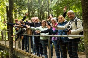 All Inclusive Blue Mountain,Scenic World,Lunch,Koalas,ferry - The Three Sisters: short time, high payoff viewpoints