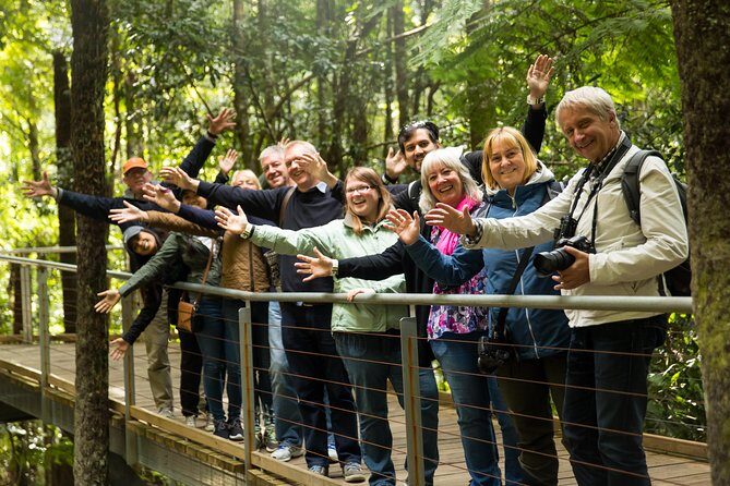 All Inclusive Blue Mountain,Scenic World,Lunch,Koalas,ferry - The Three Sisters: short time, high payoff viewpoints