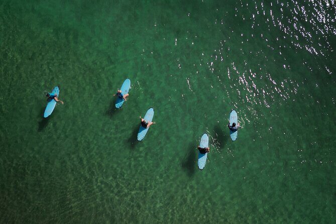 Australian Surfing and Camping Tours - Yamba camping nights: wildlife time and beach-break variety