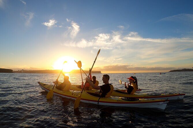 Beautiful Middle Harbour Sunriser / Guided Kayaking Private Tour - Key highlights worth getting excited about