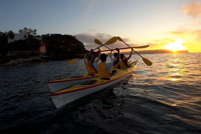 Beautiful Middle Harbour Sunriser / Guided Kayaking Private Tour - Why a Middle Harbour sunrise kayak is better than a late-morning plan