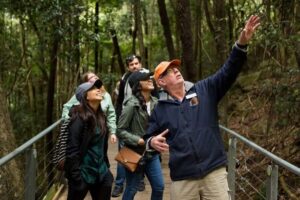 Blue Mountain: Small-Group Tour with Lunch & Scenic World - Scenic World early entry: Skyway, Cableway, Railway, and the rainforest walk