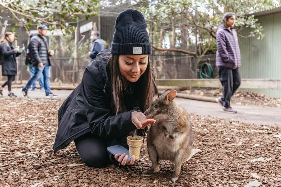 Blue Mountain: Small-Group Tour with Lunch & Scenic World - Echo Point and the Three Sisters: views plus meaning