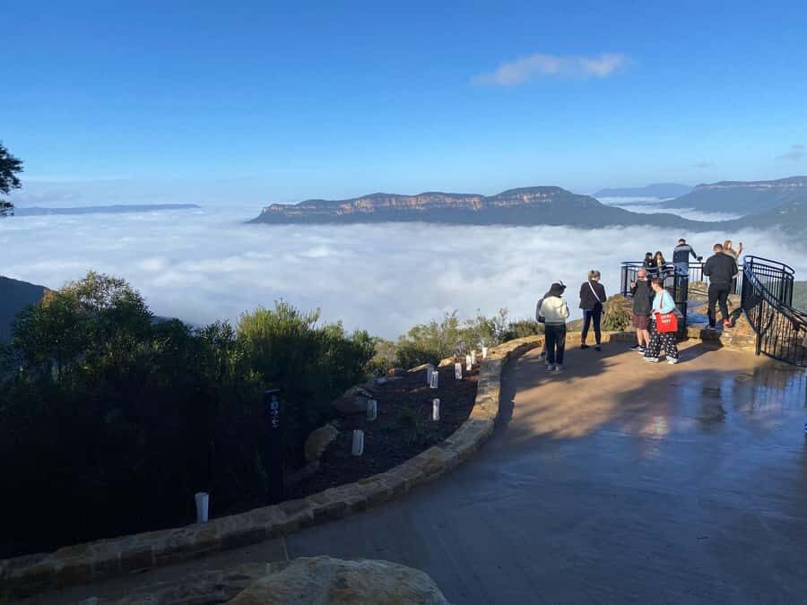 Blue Mountain: Small-Group Tour with Lunch & Scenic World - Featherdale Wildlife Park vs Sydney Zoo: kangaroos, koalas, and pacing