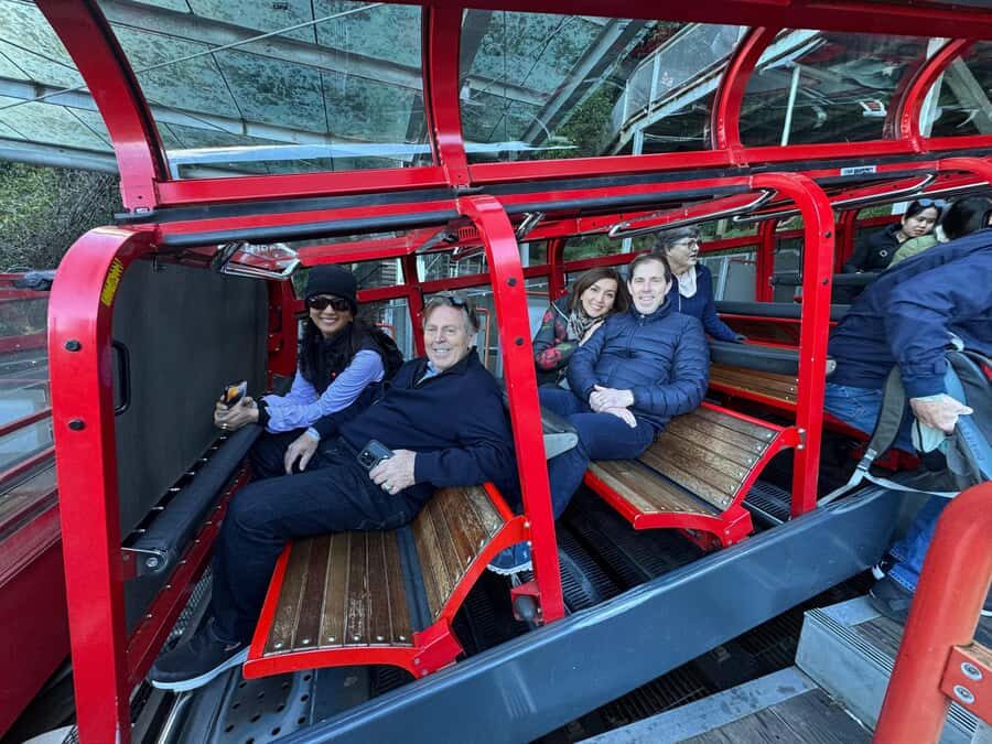 Blue Mountain: Small-Group Tour with Lunch & Scenic World - Price and value: what $137 buys in real life