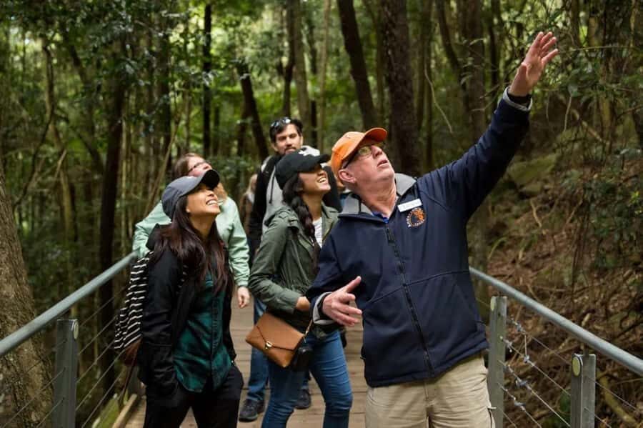 Blue Mountain: Small-Group Tour with Lunch & Scenic World - Scenic World early entry: Skyway, Cableway, Railway, and the rainforest walk