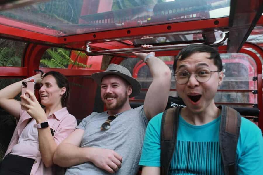 Blue Mountain Tour + Hop-on-Hop-off Big Bus Discover Ticket - Key highlights worth planning around