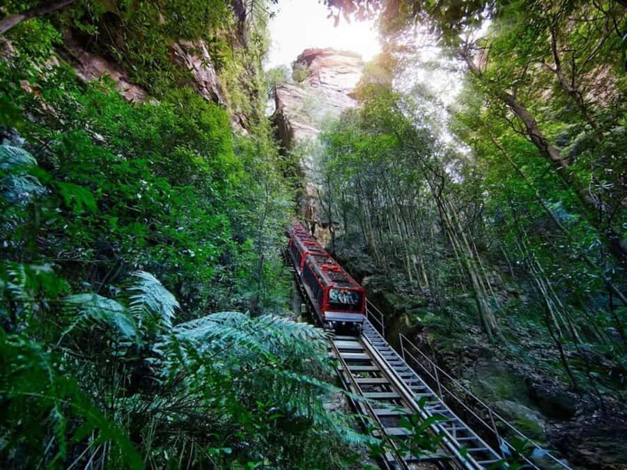 Blue Mountain Tour + Hop-on-Hop-off Big Bus Discover Ticket - Two iconic days in one ticket: Blue Mountains plus Sydney by Big Bus