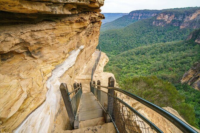 Blue Mountain Tour with Hop on and Hop Off Bus - The big idea: coach-guided mountains, then Sydney at your pace