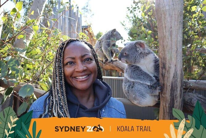 Blue Mountain Tour with Hop on and Hop Off Bus - Scenic World Discovery Pass: three rides, one included plan
