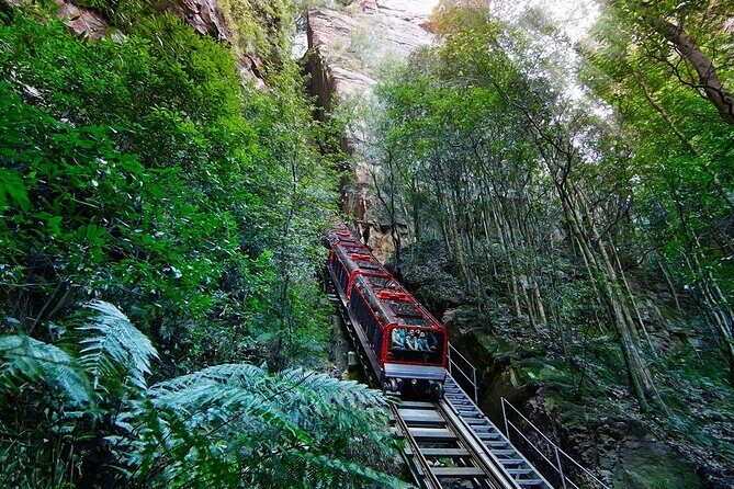 Blue Mountain Tour with Hop on and Hop Off Bus - Big Bus hop-on, hop-off: how to use 24 hours like a pro