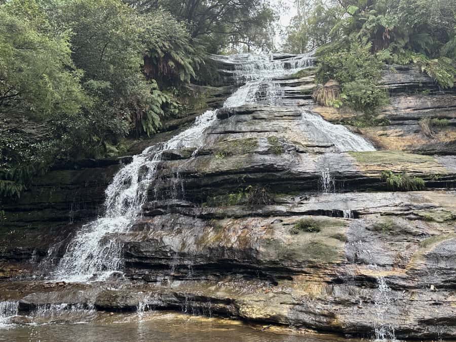 Blue Mountains Adventure: Scenic World, Zoo & Koala Photo - Sydney Zoo with the free koala photo: how to pace your wildlife time