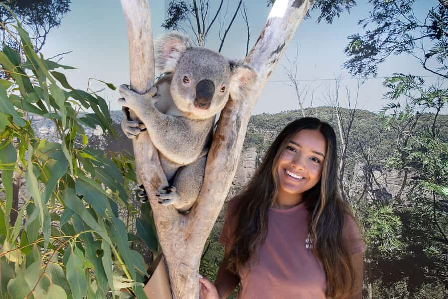 Blue Mountains Adventure: Scenic World, Zoo & Koala Photo - Price and value: does $144 per person make sense?