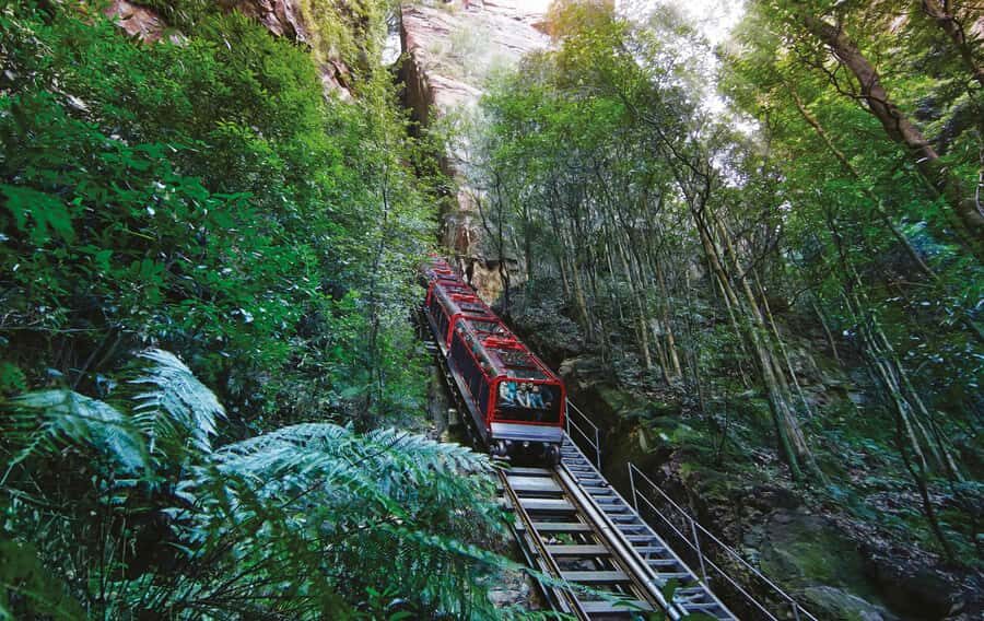 Blue Mountains Adventure: Scenic World, Zoo & Koala Photo - Hotel pickup and the Harbour-ferry finish to Circular Quay