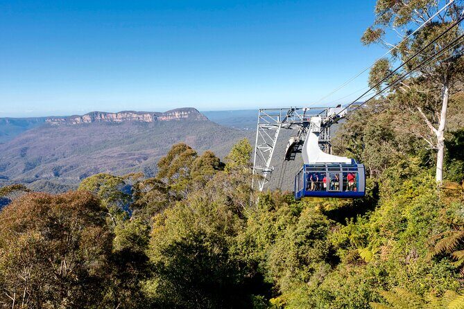 Blue Mountains Adventure w Scenic World, Zoo, Koala Photo & Ferry - The ferry ride back: a calm finish after a big day