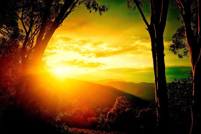 Blue Mountains Day, Sunset Tour & Glow Worms Night Adventure - Key Highlights You Should Know Before You Go
