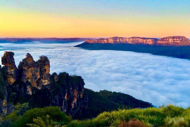 Blue Mountains Day, Sunset Tour & Glow Worms Night Adventure - Featherdale Sydney Wildlife Park: Koalas and Kangaroo Time