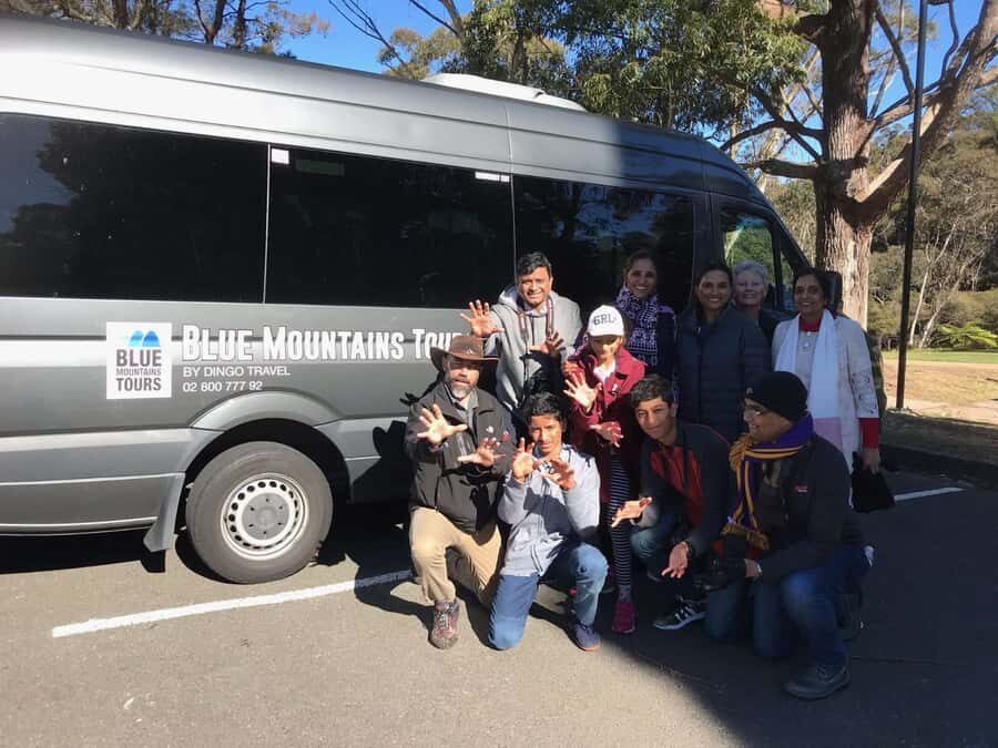 Blue Mountains day Tour small group from Sydney - Koalas and kangaroos at the wildlife park stop