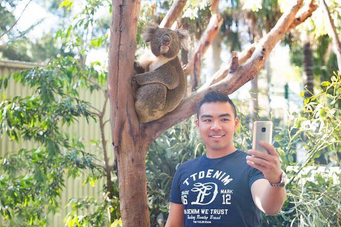 Blue Mountains Day Tour with Wildlife, Walks and Scenic World - Three Sisters Over Jamison Valley: The Story Stop That Helps You See the Rocks