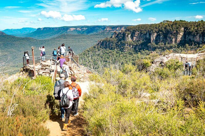 Blue Mountains Day Tour with Wildlife, Walks and Scenic World - Blue Mountains National Park Walking: Uneven Ground, Real Air, and Big Lookouts