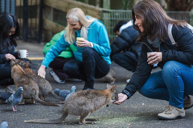 Blue Mountains Day Tour with Wildlife, Walks and Scenic World - The Human Factor: Guides Who Actually Shape the Day