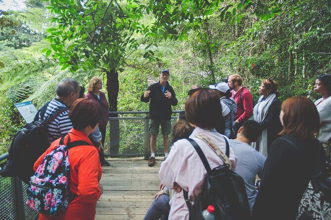 Blue Mountains Day Tour with Wildlife, Walks and Scenic World - Wentworth Falls Lookout and the Valley of Waters Walk