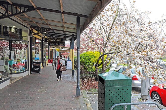 Blue Mountains Highlights, Wildlife Park and Scenic World Full Day Private Tour - Blue Mountains National Park guided walk: where the views get personal