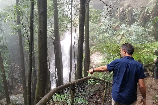 Blue Mountains Highlights, Wildlife Park and Scenic World Full Day Private Tour - Wentworth Falls: a classic for good reason