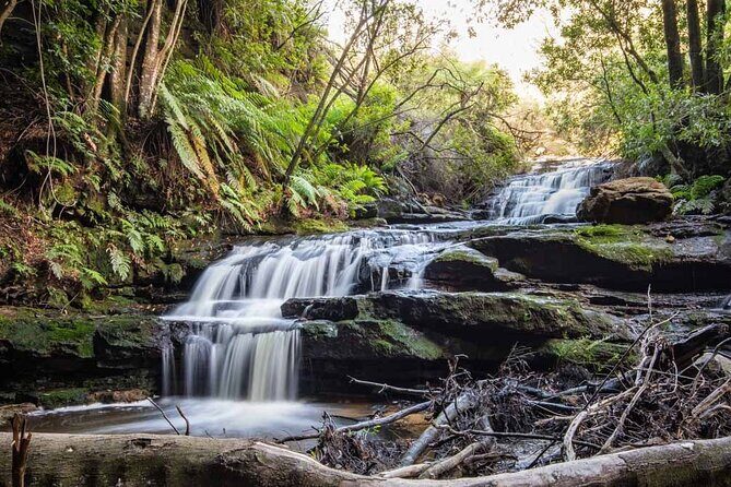 Blue Mountains Luxury Tour from Sydney - Scenic World on Violet Street: Tickets, Time, and What You Can Do