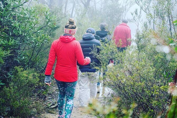 Blue Mountains Private Hiking Tour from Sydney - Evans Lookout: Pop Up for Grose Valley Drama