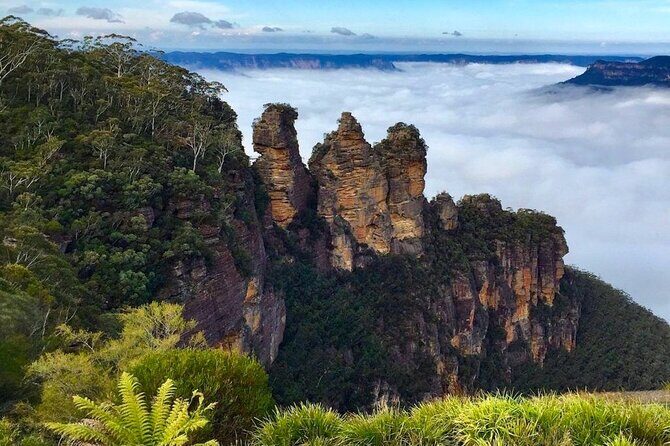 Blue Mountains Private Tour from Sydney - Key things I’d zero in on first