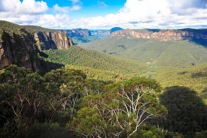 Blue Mountains Private Tour from Sydney - Scenic World: the optional railway and cable cars add the wow-factor