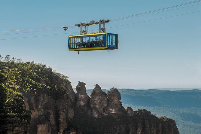 Blue Mountains Private Tour | Koala, Kangaroo, & Waterfalls Day - Guide commentary and the Rocky factor: why this tour works as a day
