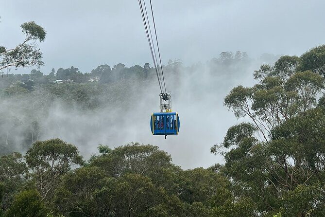 Blue Mountains Private Tour & Scenic World Included - Key highlights you’ll actually feel on the day