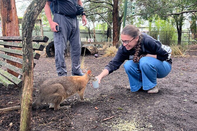 Blue Mountains Private Tour & Scenic World Included - The morning start: Glenbrook coffee at the Blue Mountains’ doorstep