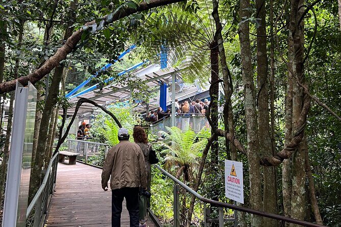 Blue Mountains Private Tour & Scenic World Included - Katoomba Cascades: a short rainforest-feeling walk