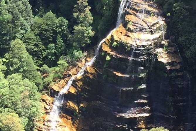 Blue Mountains Private Tour with Kangaroo and Koala Experience - Blue Mountains National Park segment: morning tea + easy time to look