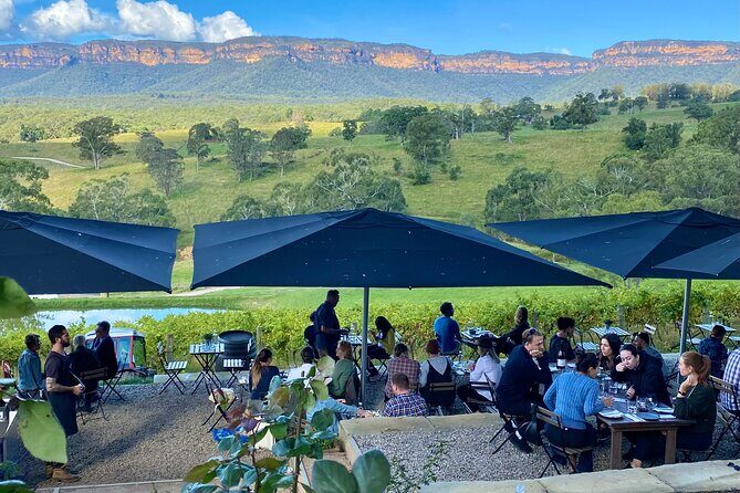Blue Mountains Private Tour with Kangaroo and Koala Experience - Scenic World (extra $44): when it’s worth paying for cable rides