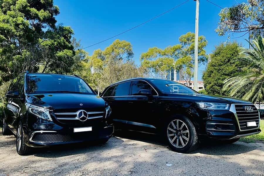 Blue Mountains: Private Tour with Wildlife and River Cruise - Scenic World Katoomba: steep-incline thrills (and extra tickets to expect)