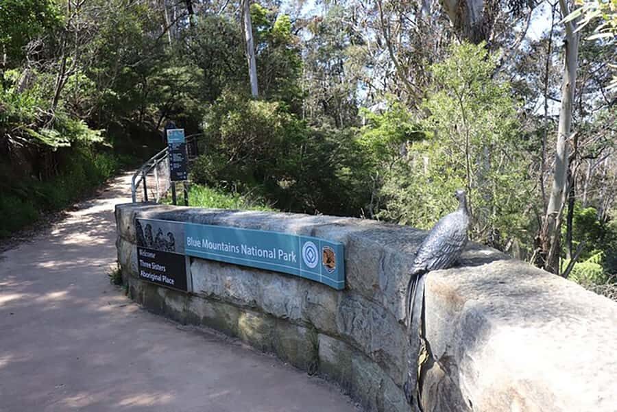 Blue Mountains: Private Tour with Wildlife and River Cruise - Leura Mall for lunch or a reset