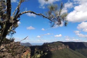 Blue Mountains Small-Group Insider Tour from Sydney - Morning Pickup From Sydney, Harbour Bridge, and the Time-Saver Route