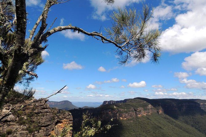 Blue Mountains Small-Group Insider Tour from Sydney - Morning Pickup From Sydney, Harbour Bridge, and the Time-Saver Route