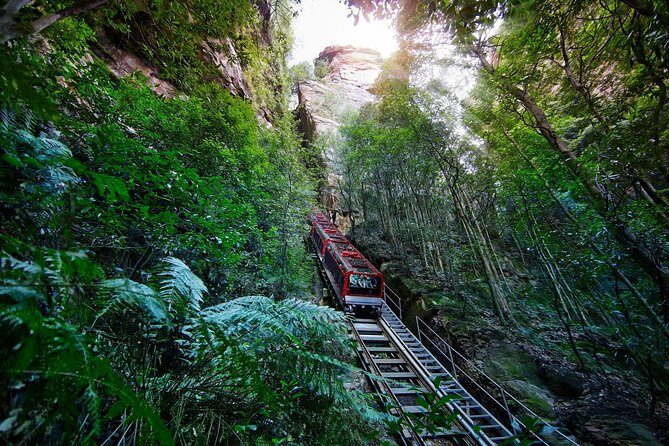 Blue Mountains Small-Group Tour from Sydney with Scenic World,Sydney Zoo & Ferry - Why This Blue Mountains + Zoo + Ferry Day Works So Well